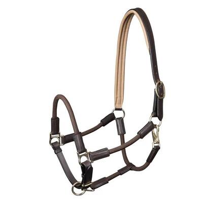 Halster voor paarden waldhausen nevada