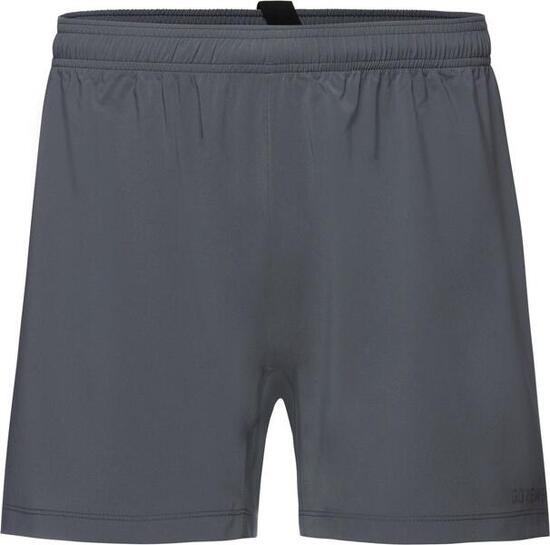 Gore-Wear Concurve 5' Shorts Grau Herren