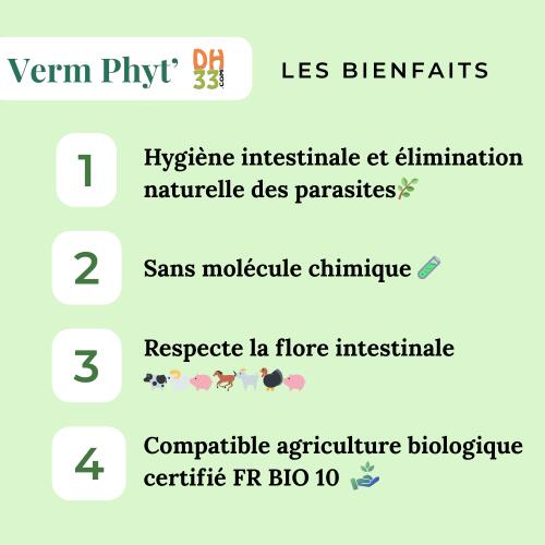 Verm Phyt' - vermifuge liquide bio pour animaux 2L 4/4