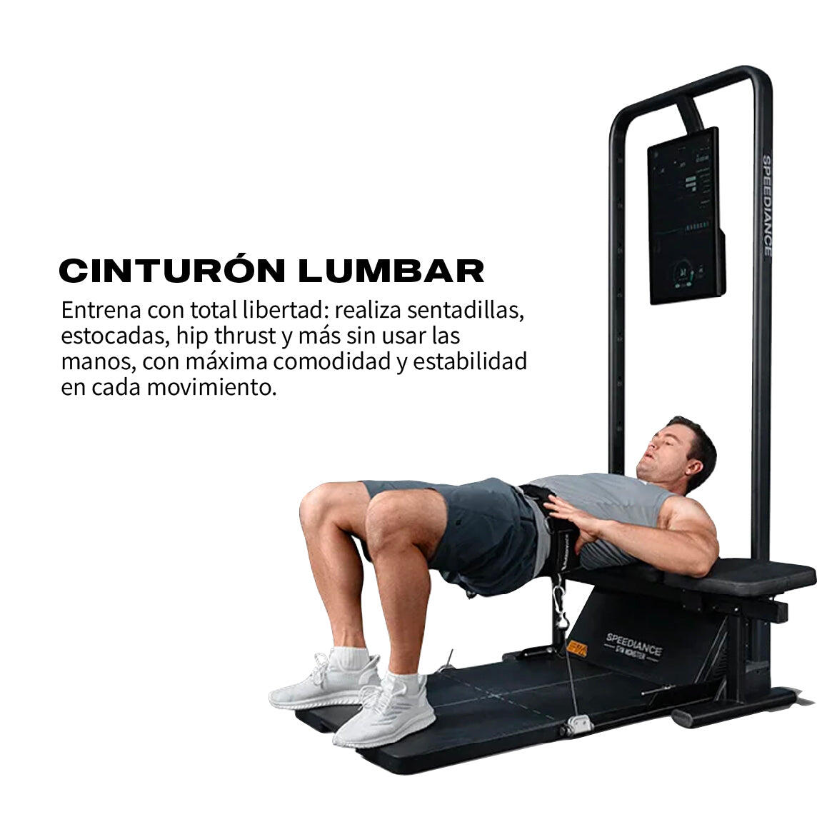Speediance Cinturón Lumbar para levantamiento de pesas 3/4