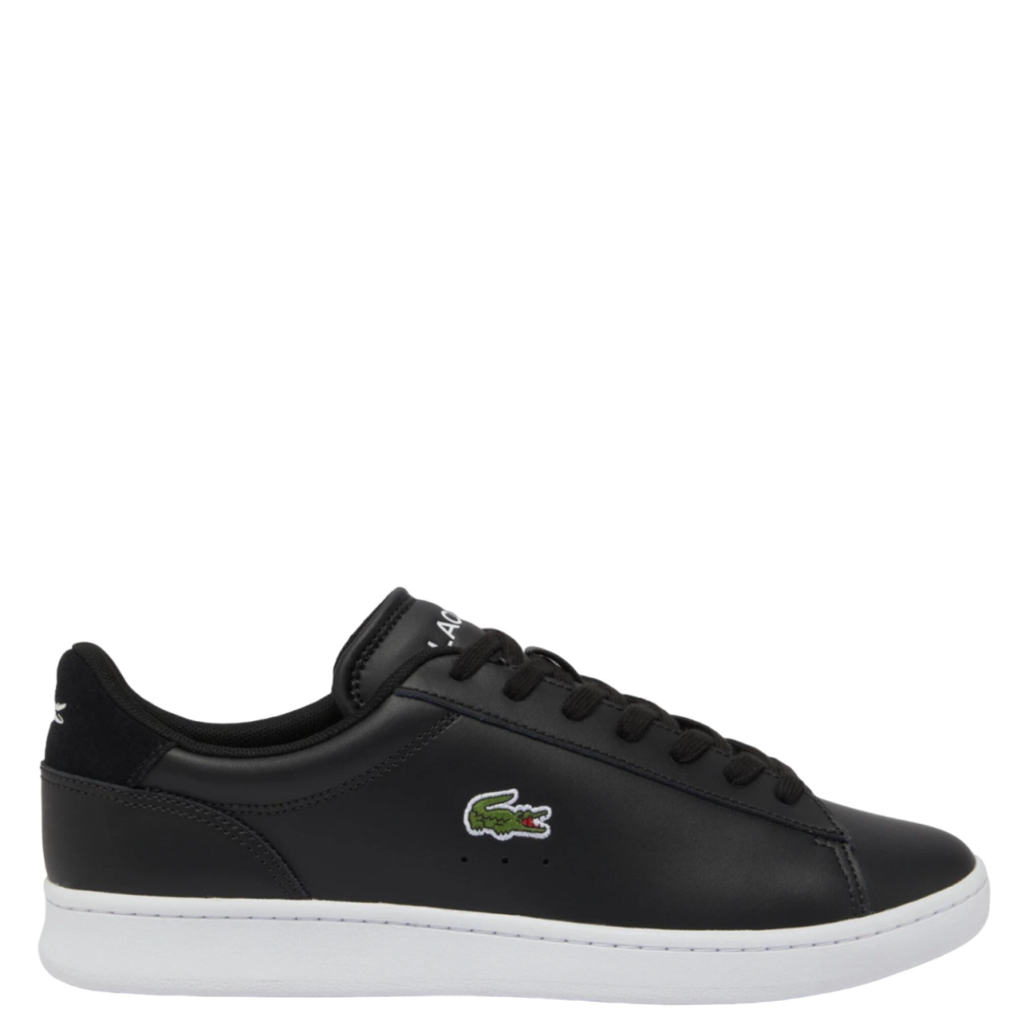 LACOSTE picture