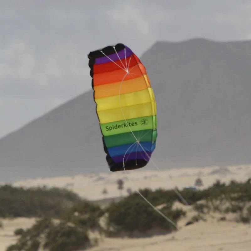 Lenkmatten Spiderkites Amigo 2.05 Rainbow 10028 Regenbogen 205 x 69 cm 6/6