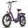 Bicicletă electrică pliabilă Fafrees F20+ Pro, baterie 250W, 36V, 25Ah, 20"