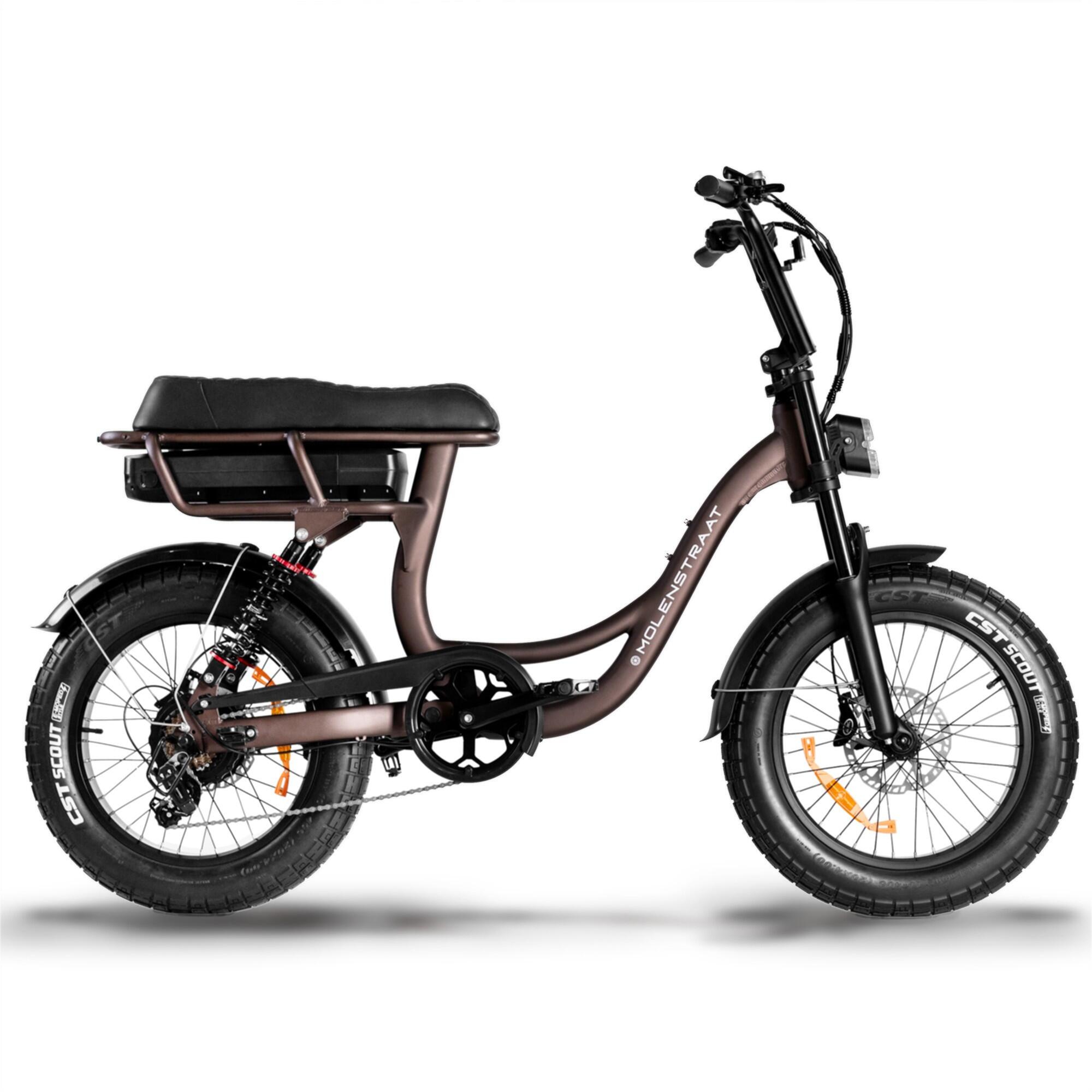MOLENSTRAAT FATBIKES picture