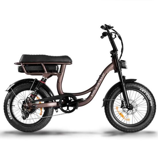 E-Fatbike 25 km/h Gasgriff 500W | 20" Fat Tires | 48V | 70 km Reichweite