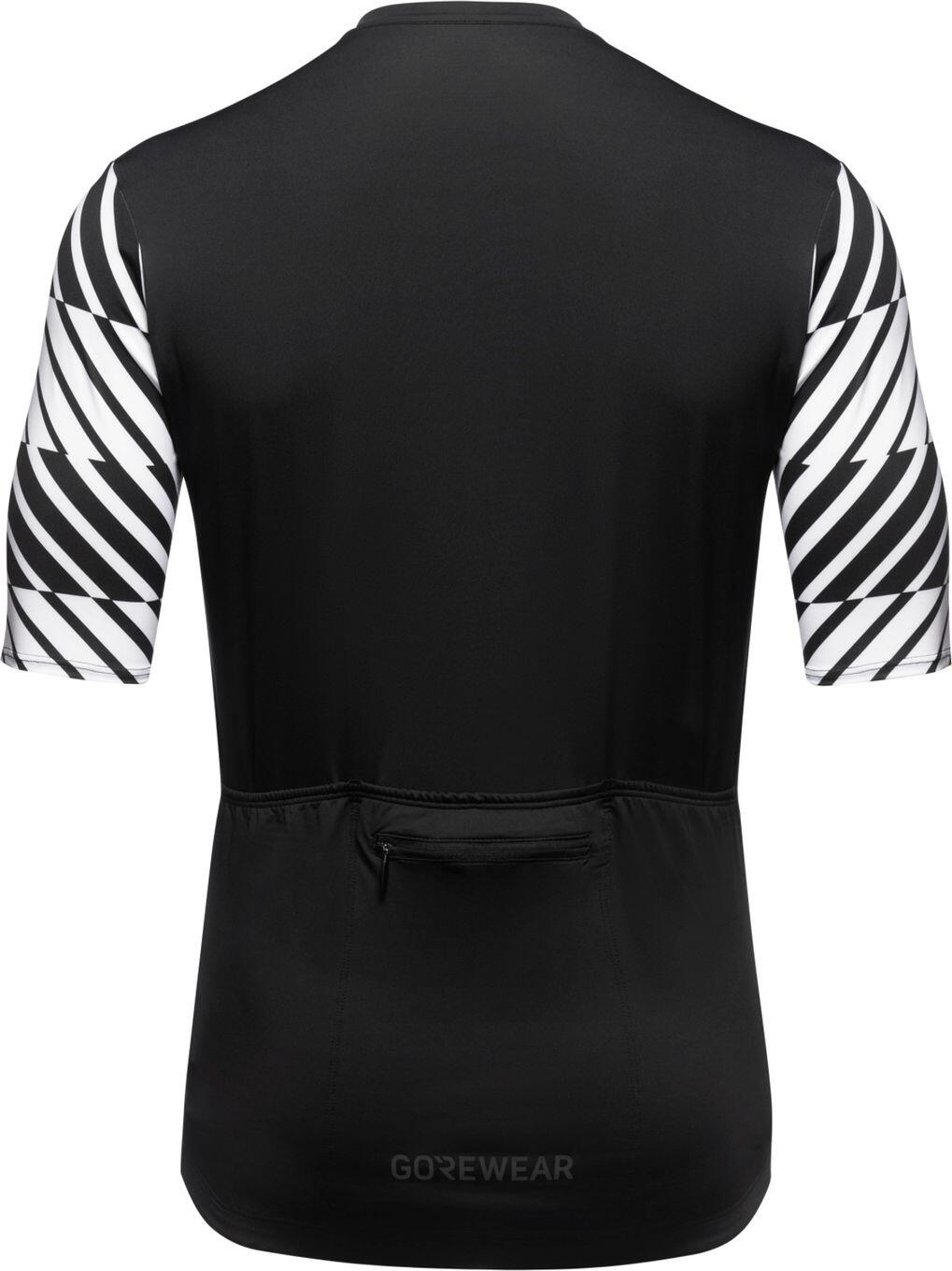 Camisola Gore Wear Swiftride Optical Preto 2/2