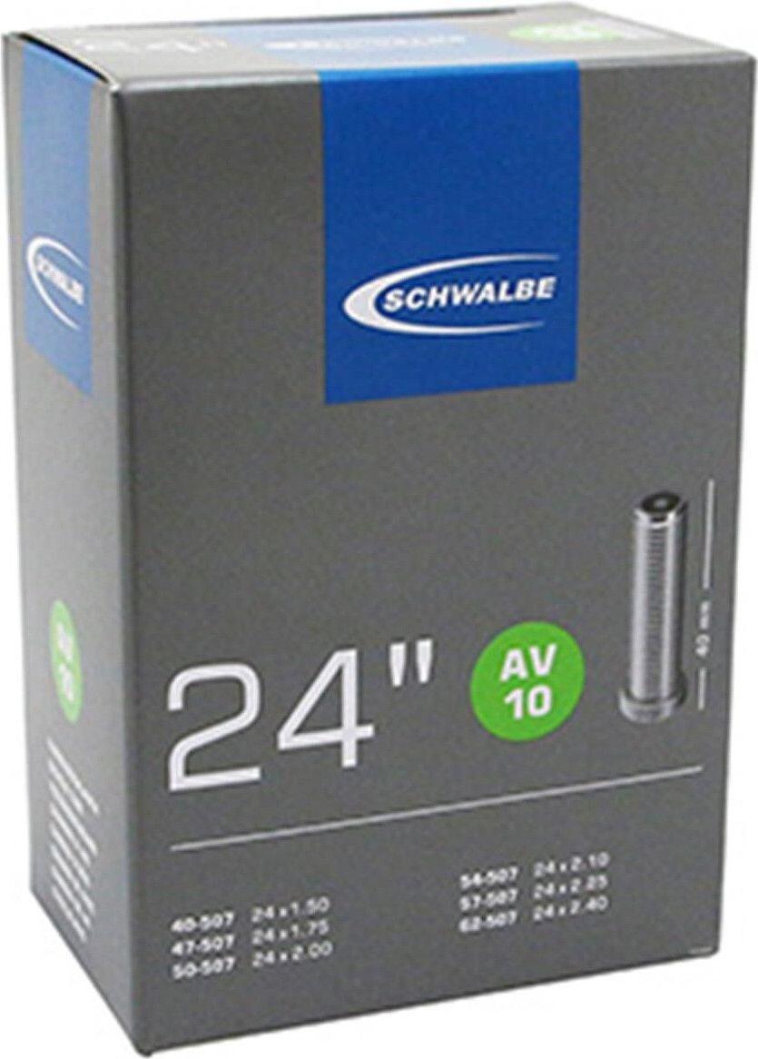 SCHWALBE picture