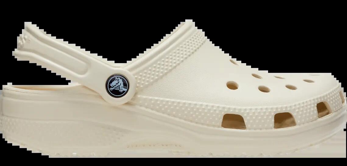 CROCS picture