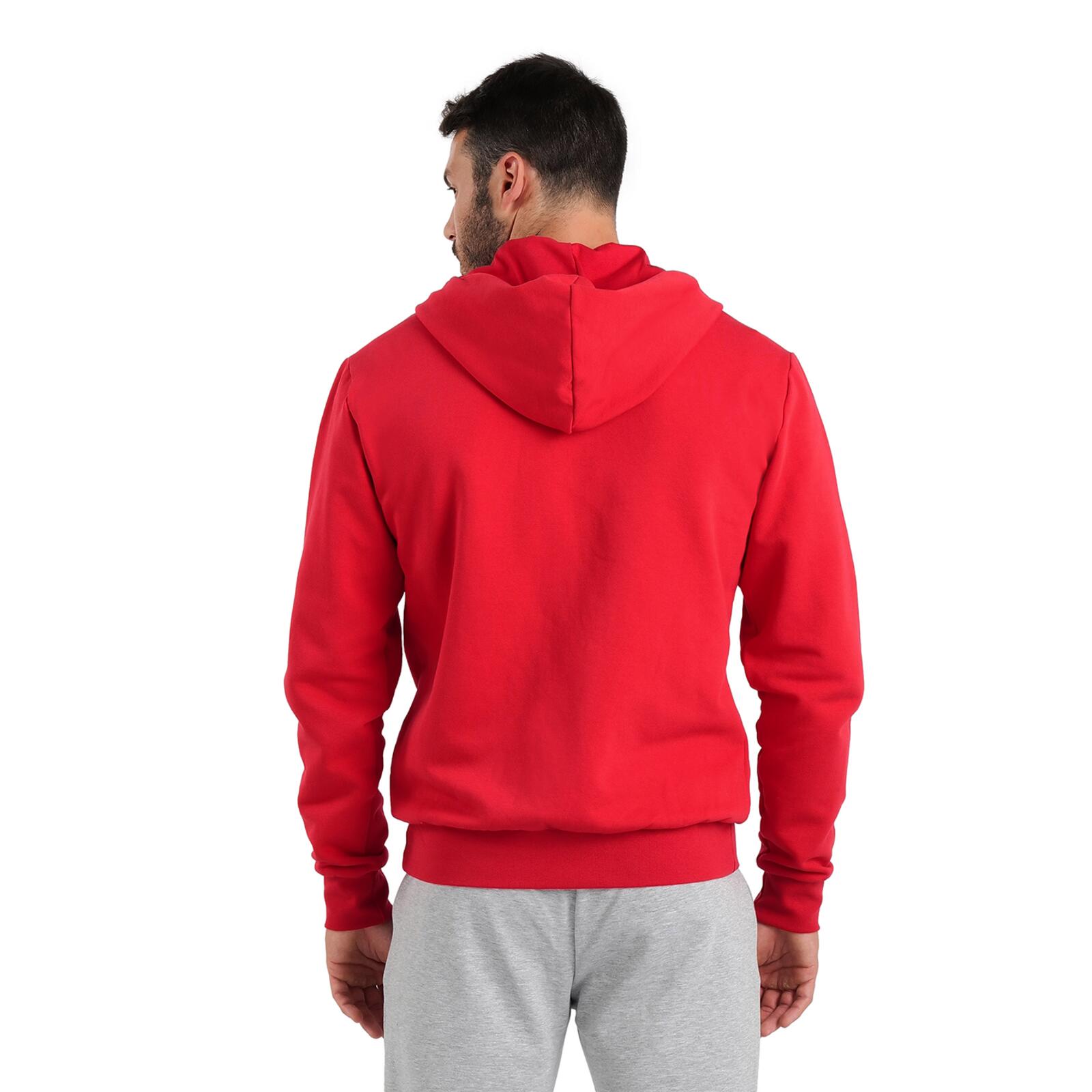 Hooded jacket Arena Team Panel 6/7