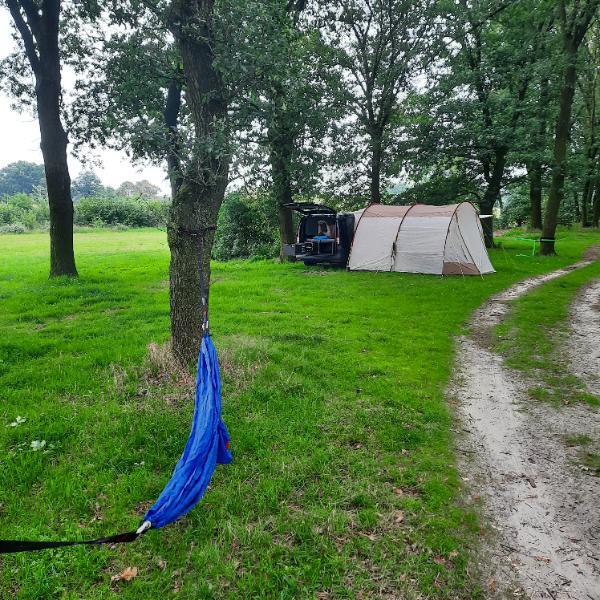 SKANDIKA picture