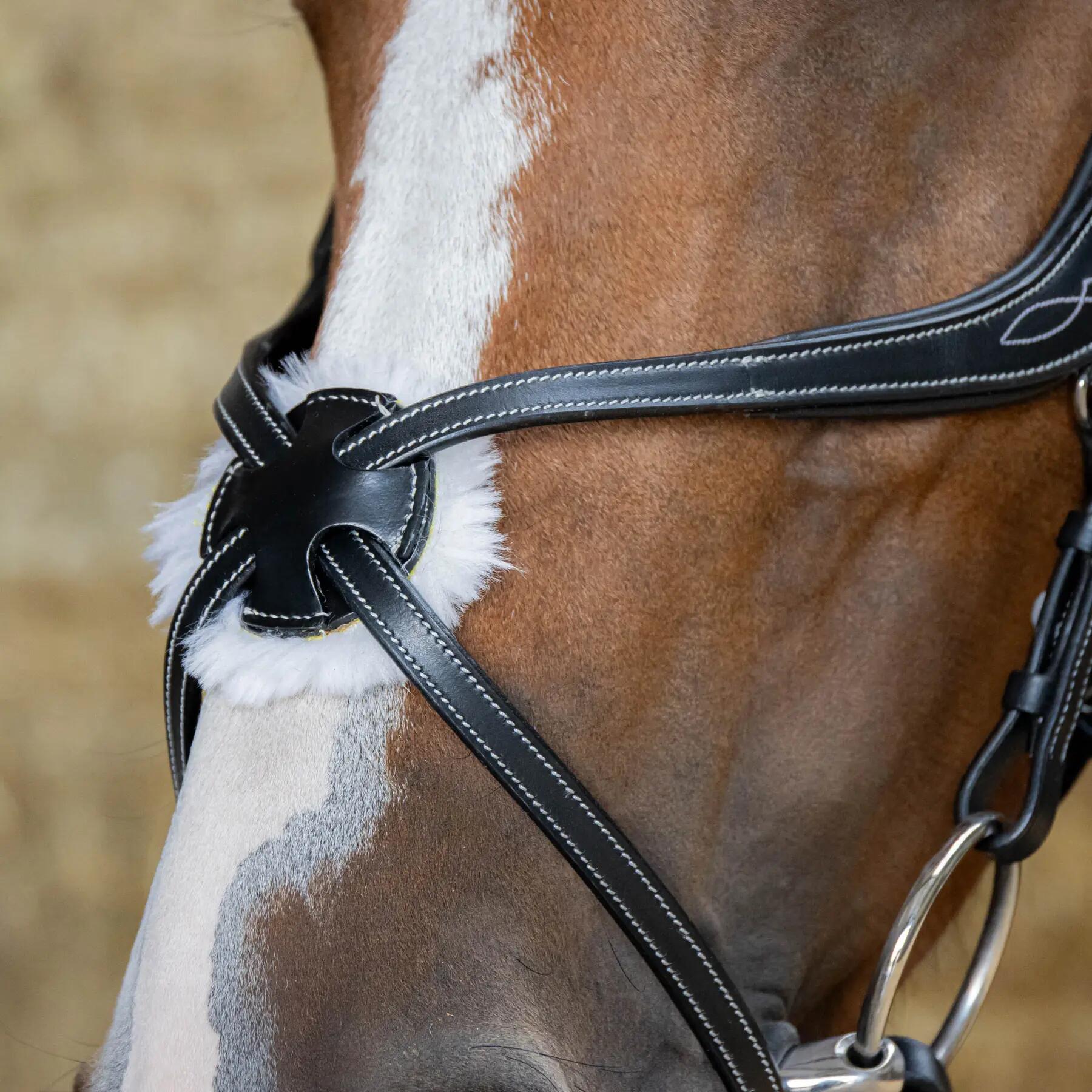 Briglia snaffle messicana anatomica a doppio petto Harry's Horse 3/4