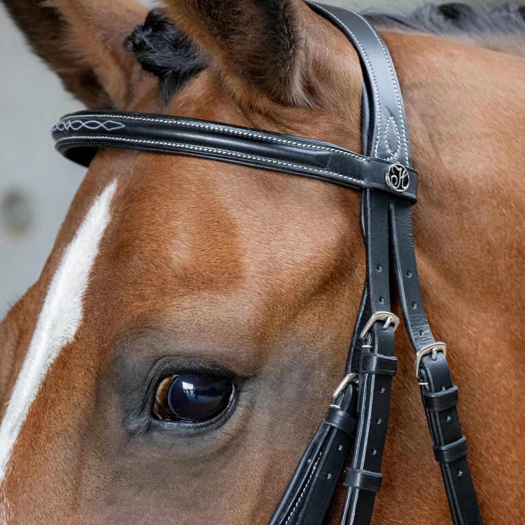 Briglia snaffle messicana anatomica a doppio petto Harry's Horse 2/4