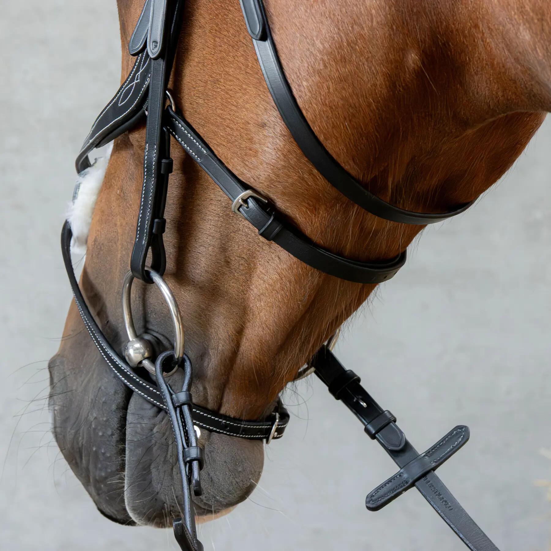 Briglia snaffle messicana anatomica a doppio petto Harry's Horse 4/4