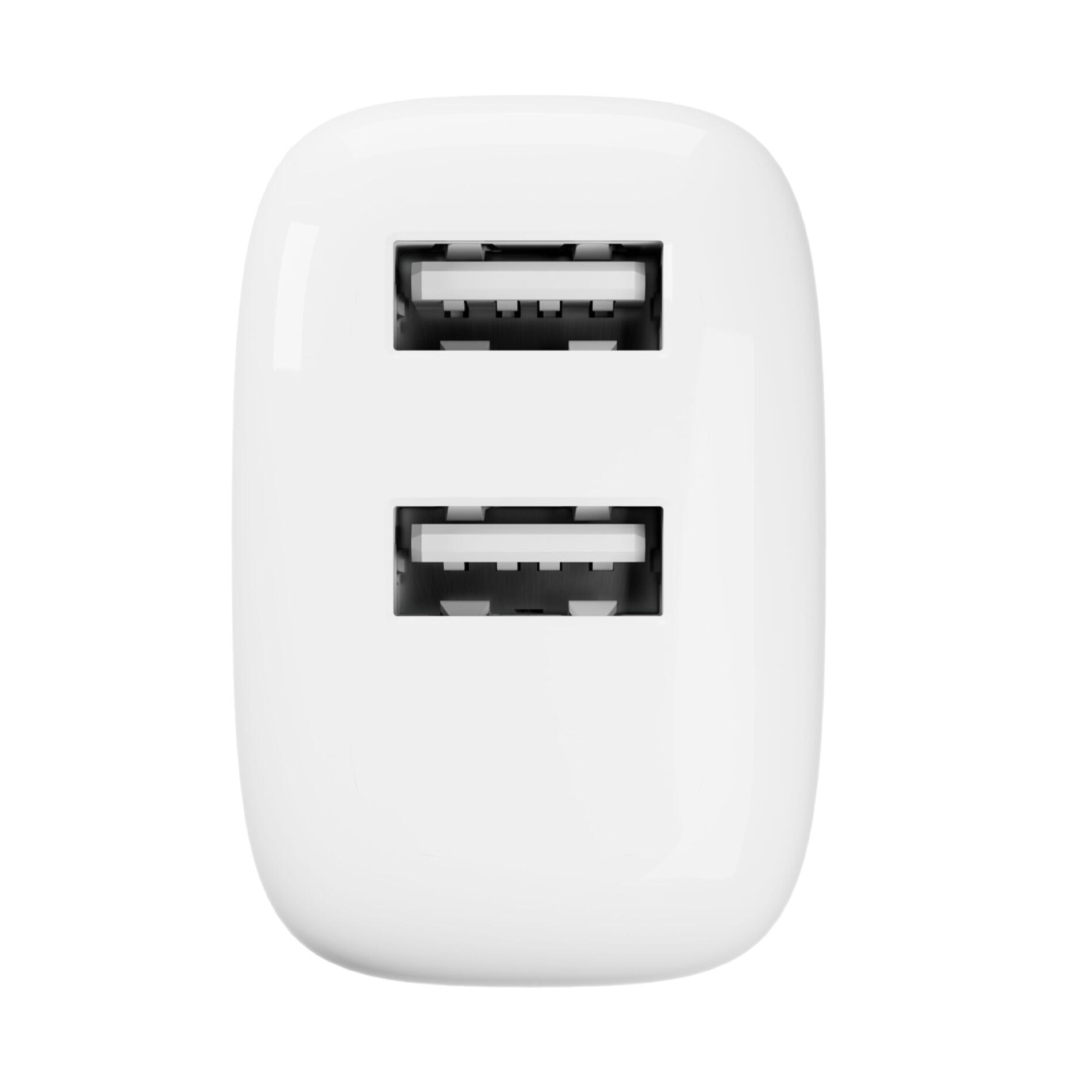 Caricabatterie Da Parete Pro Lite 2 USB-A, 10W 5/6