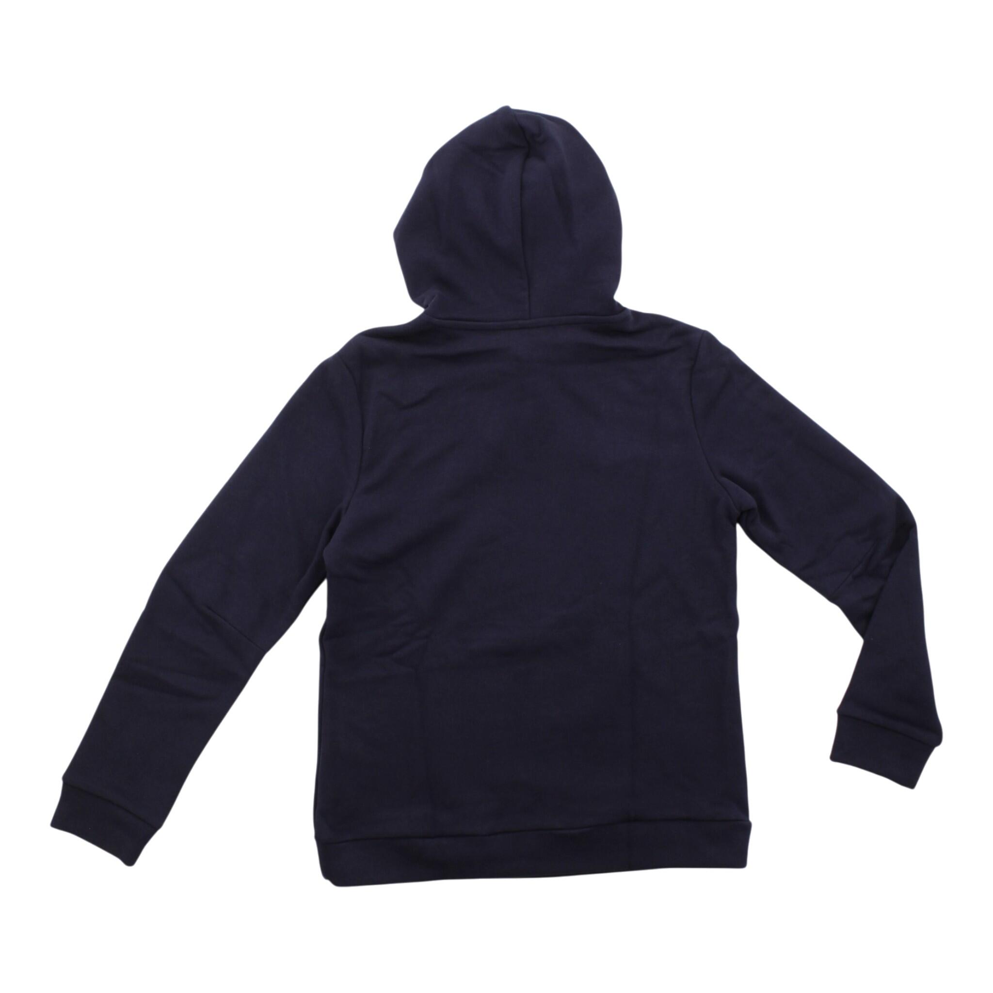 Hoodie Terrex Grafik in Blau 3/3