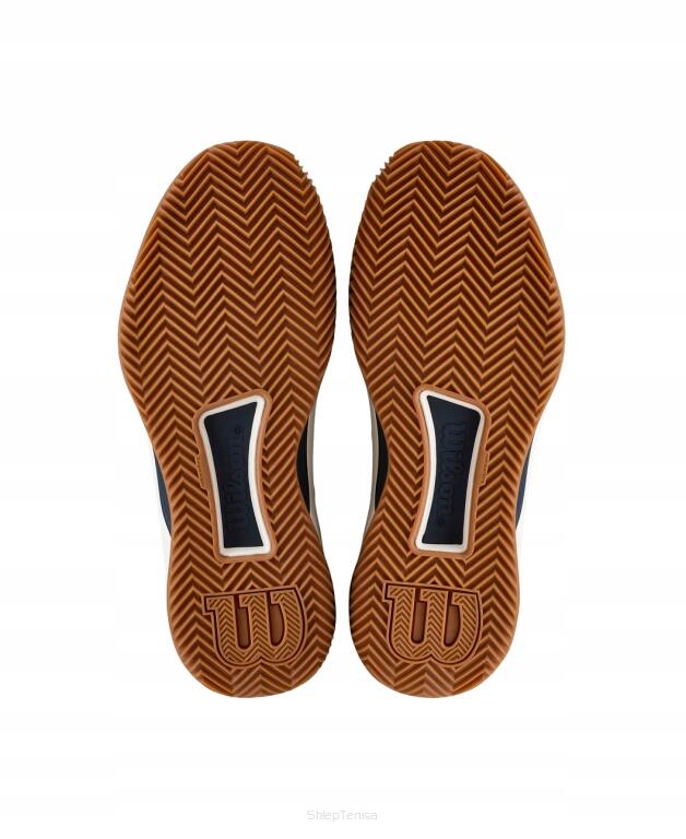 Buty tenisowe Wilson Intrigue Tour Clay 2/4