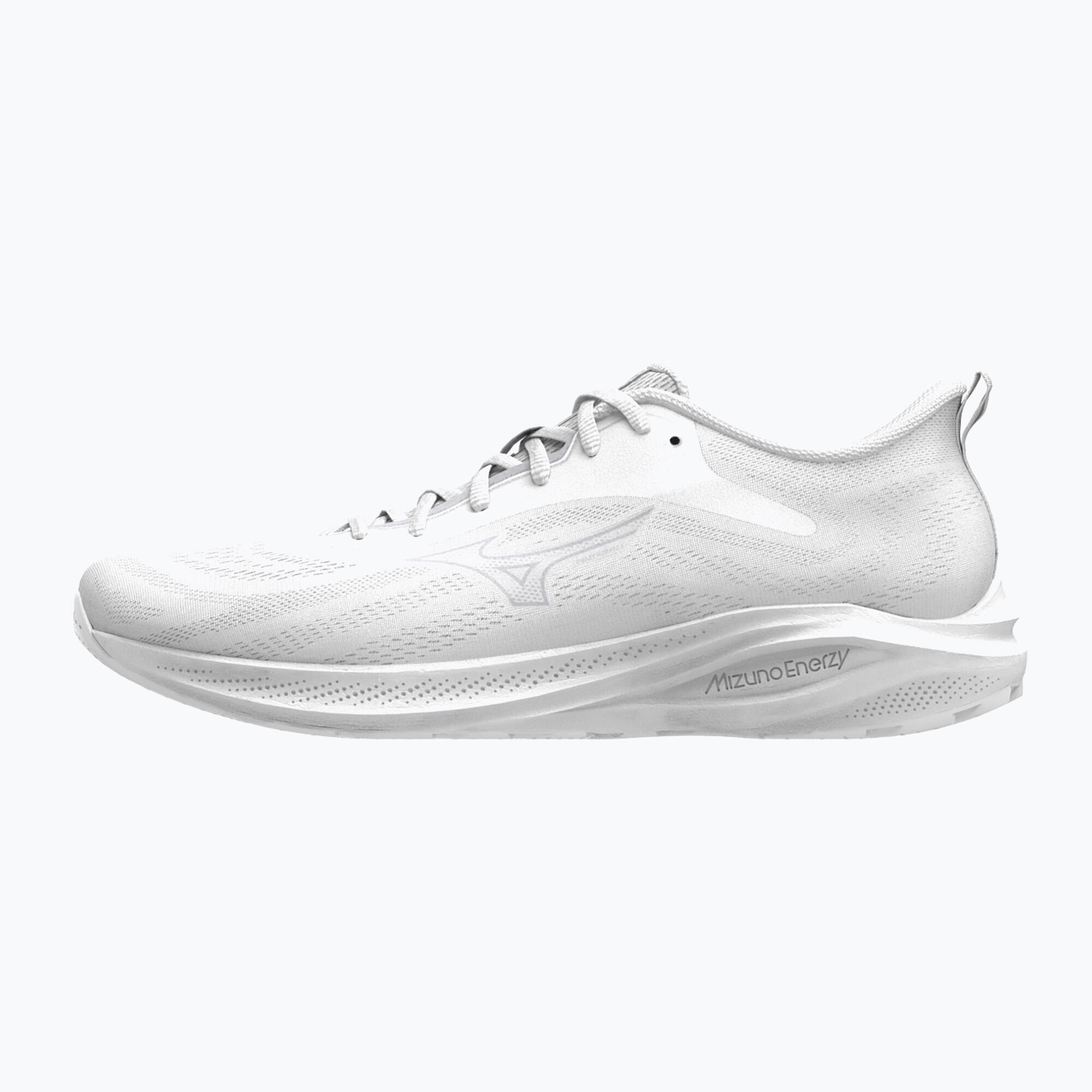 MIZUNO picture
