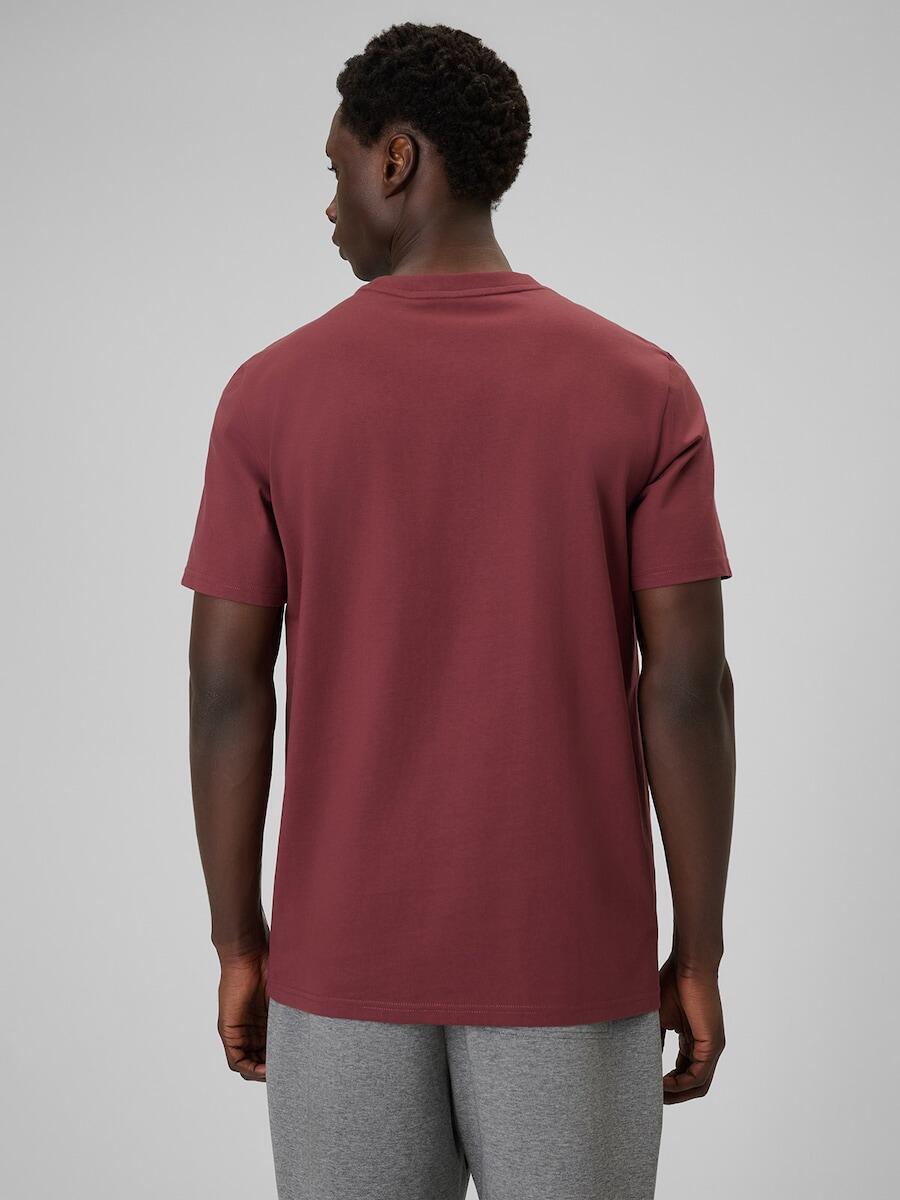 T-shirt regular gładki męski  4F 4FRSS26TTSHM3637 2/7