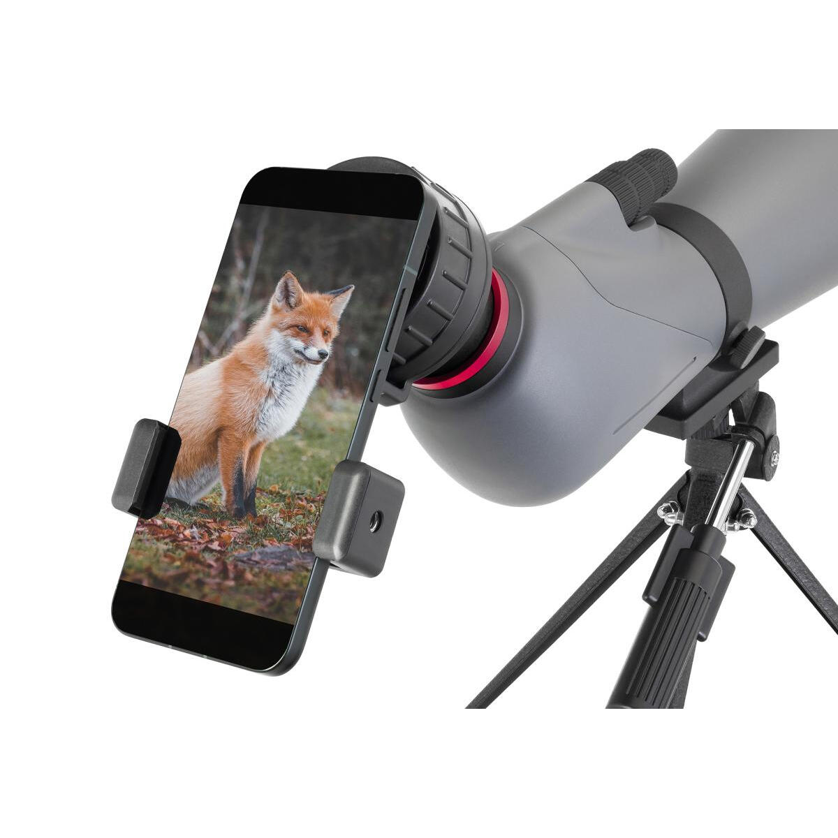 Longue-vue Levenhuk New Blaze PLUS 80 3/7