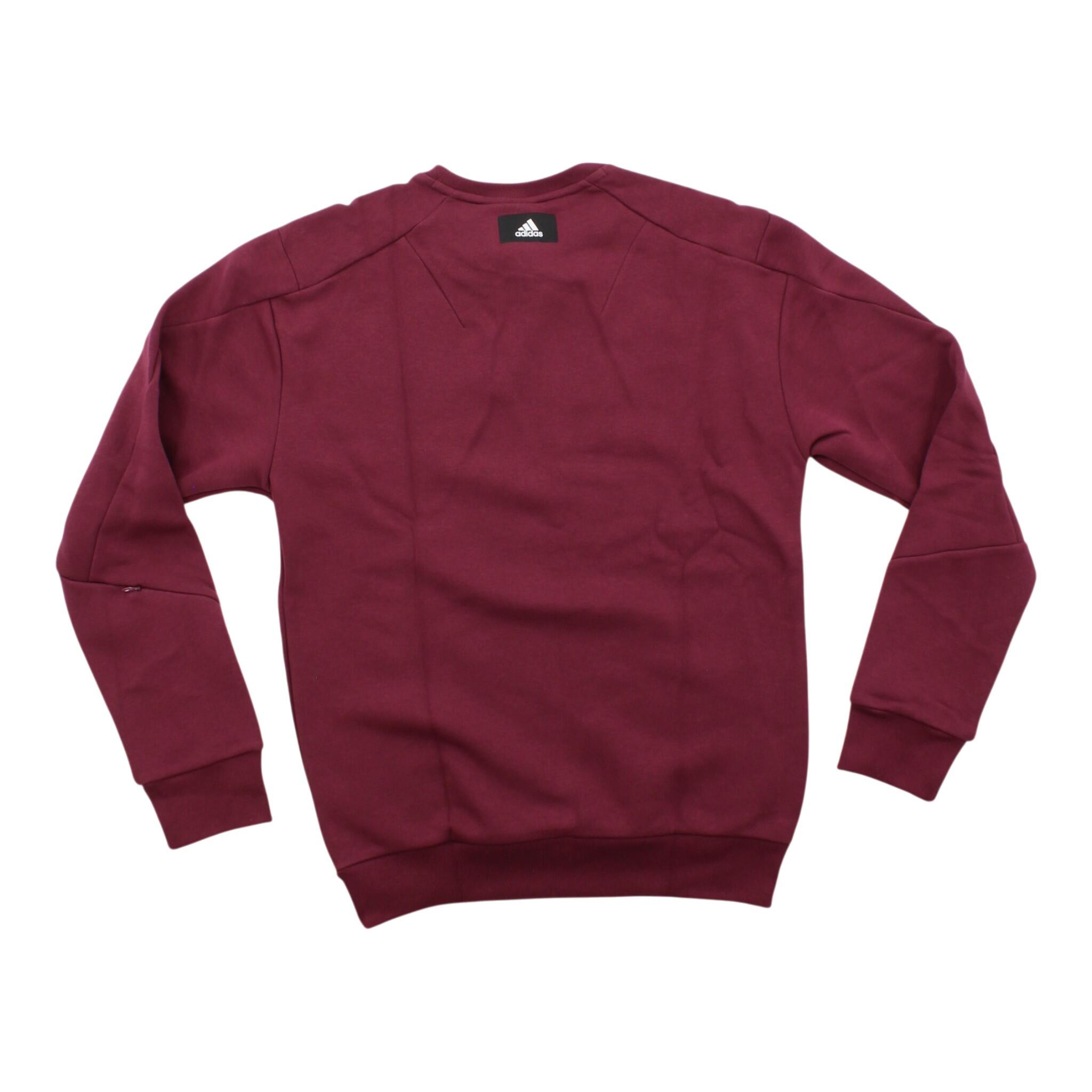 Sweatshirt Future Icons Winter Crew in Beige 3/3