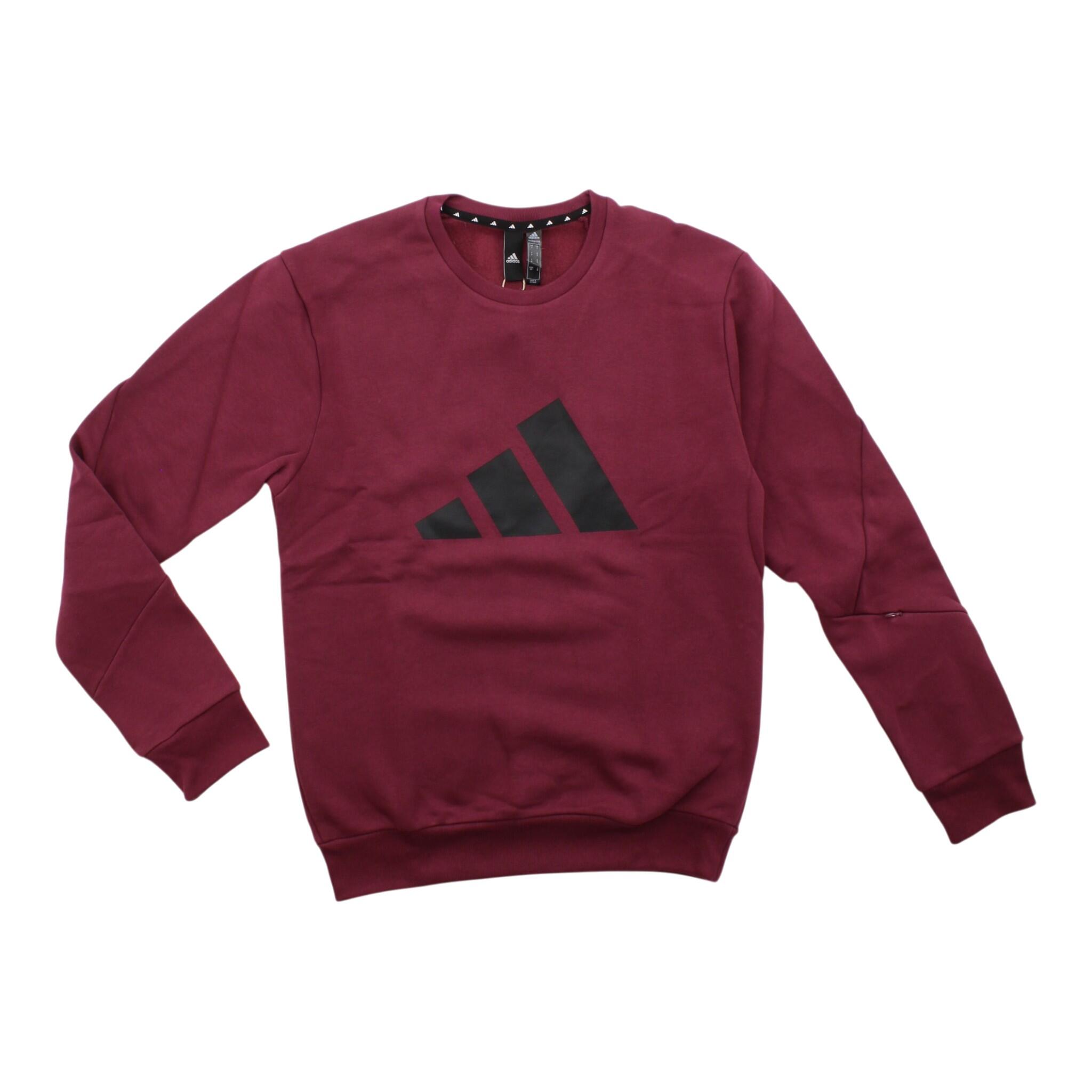 Sweatshirt Future Icons Winter Crew in Beige 2/3