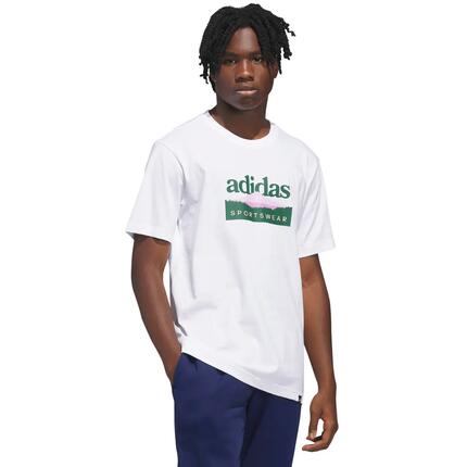 T-shirt homme adidas Sportsman Mountain Graphic gris clair