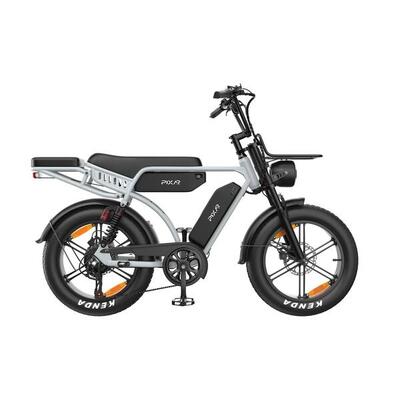 Pixar m9 elektrische fiets met voordrager en achterzadel, 48v 35ah accu
