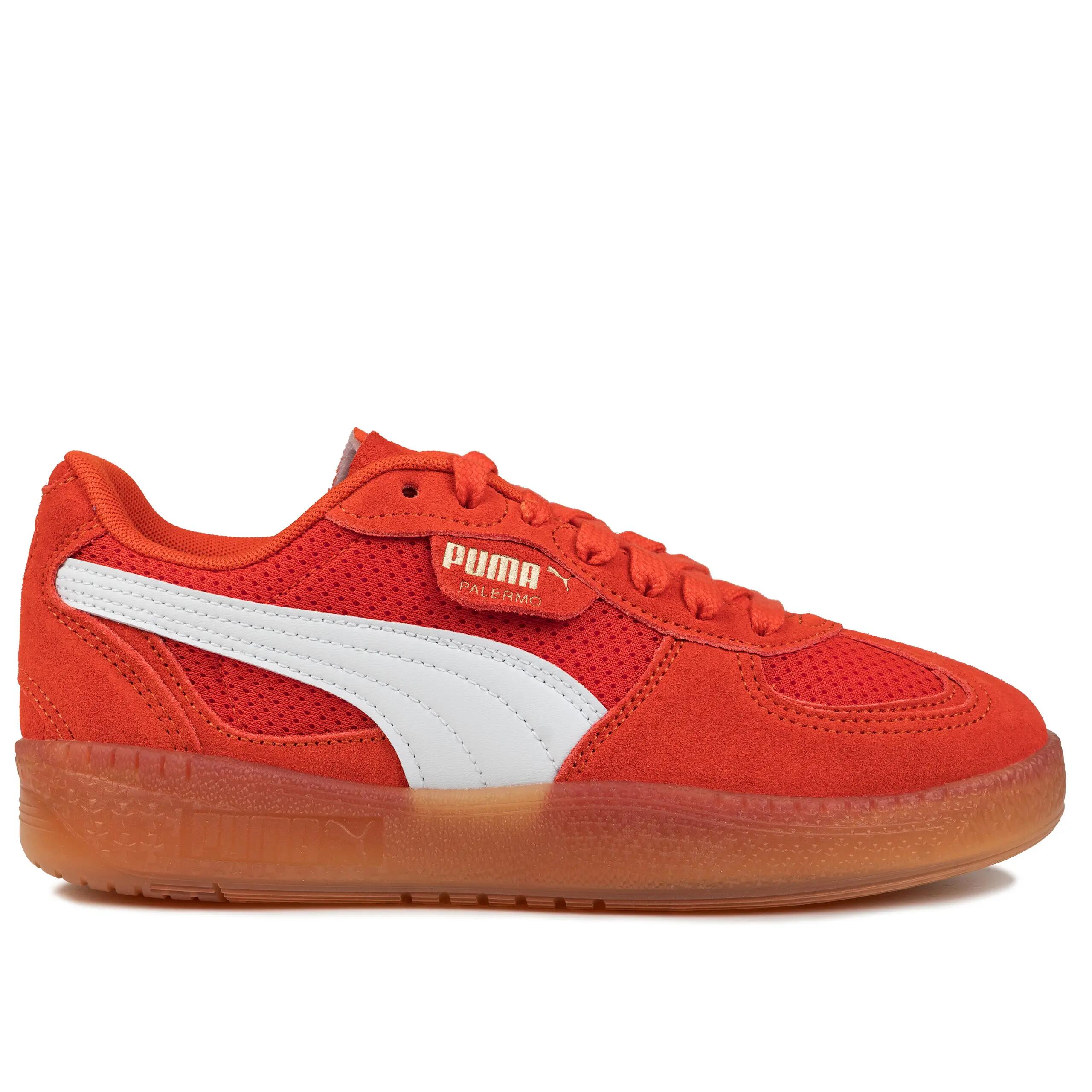 PUMA picture