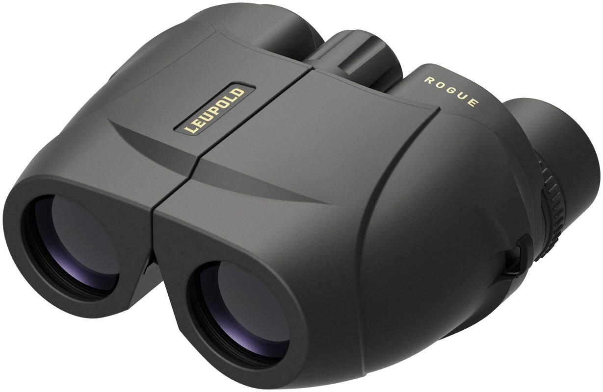 LEUPOLD picture