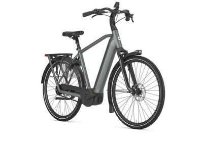 Gazelle grenoble c5+ first edition 540wh, shimano nexus, groen