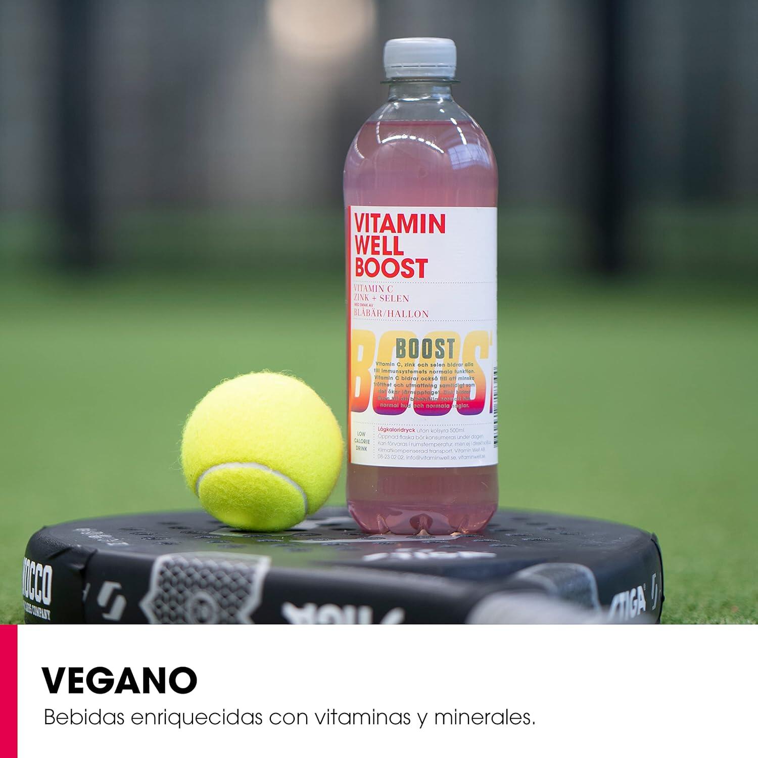 Bebida Vitaminada Boost 0,5l Arándanos Frambuesa Vitamin Well 4/5