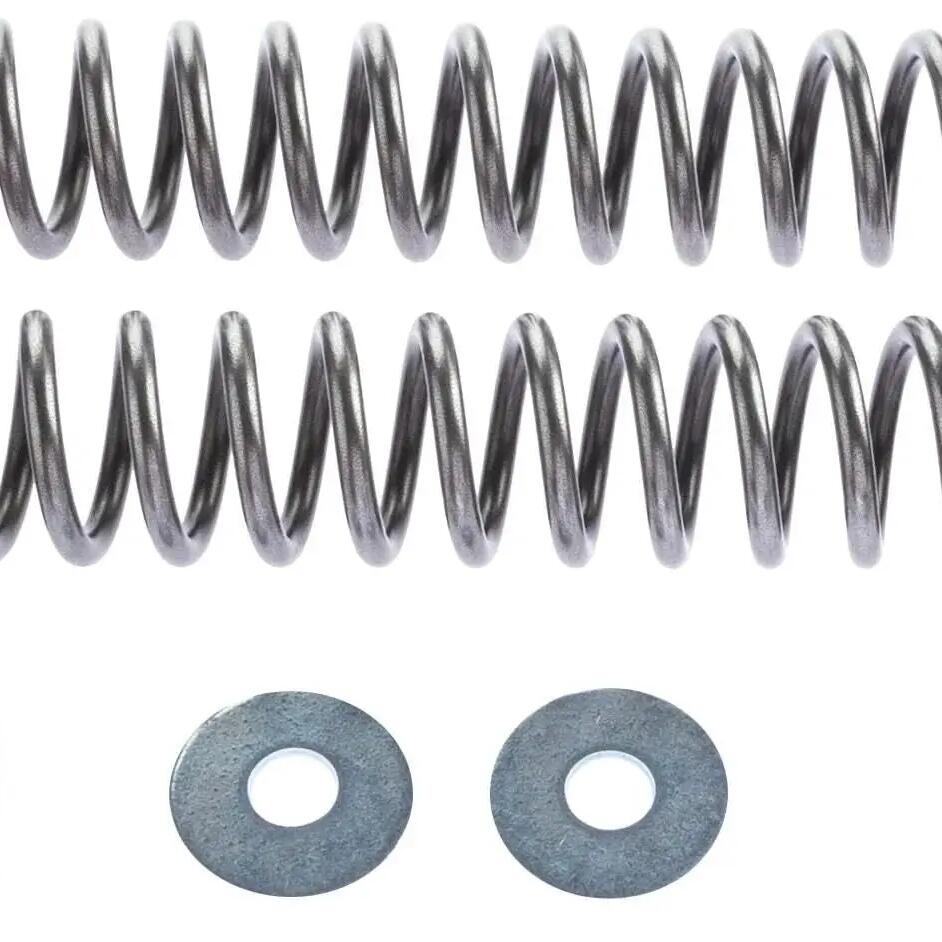 WIRTH progressive chrome-silicon front fork spring set polished ABE