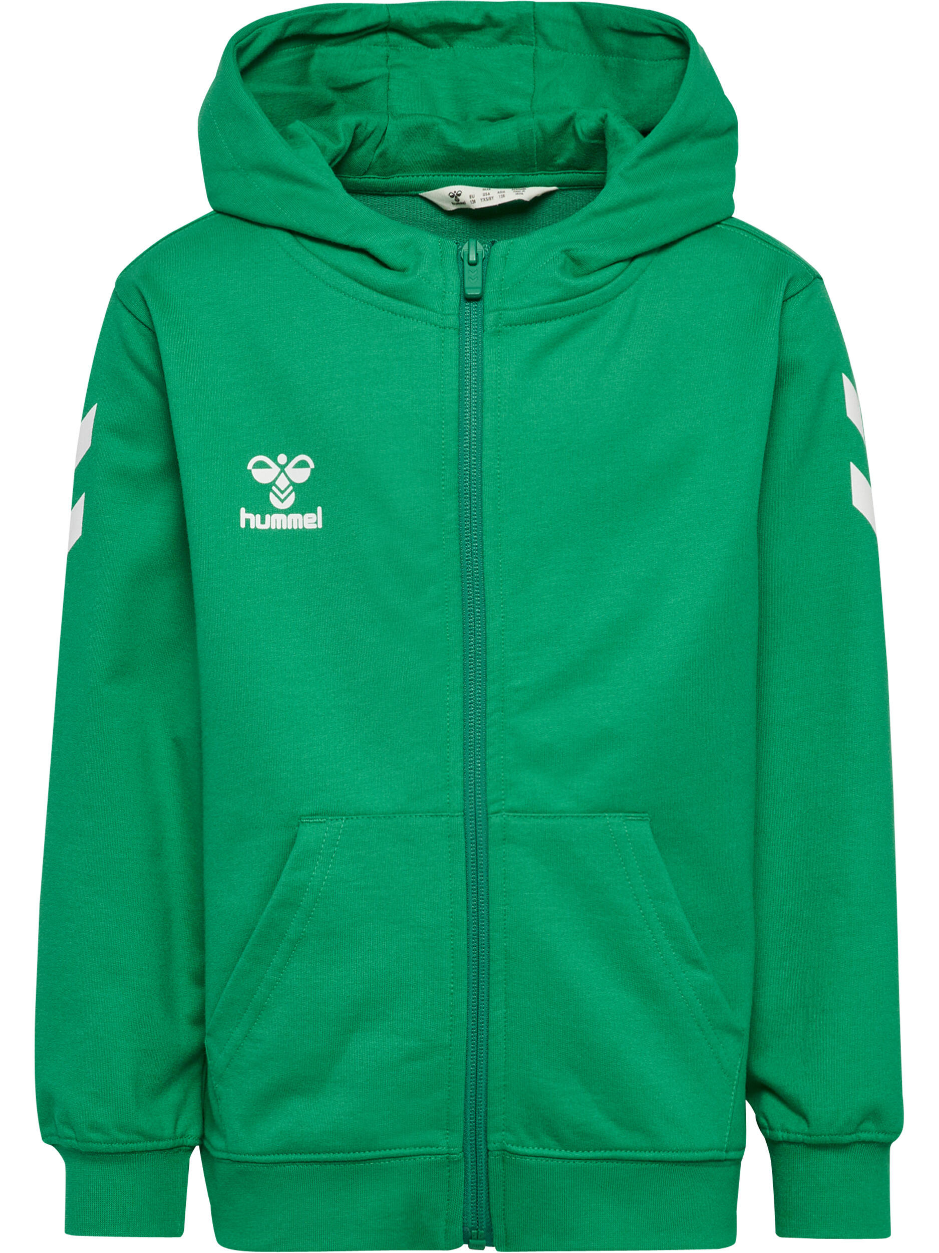 verde smeraldo / verde chiaro