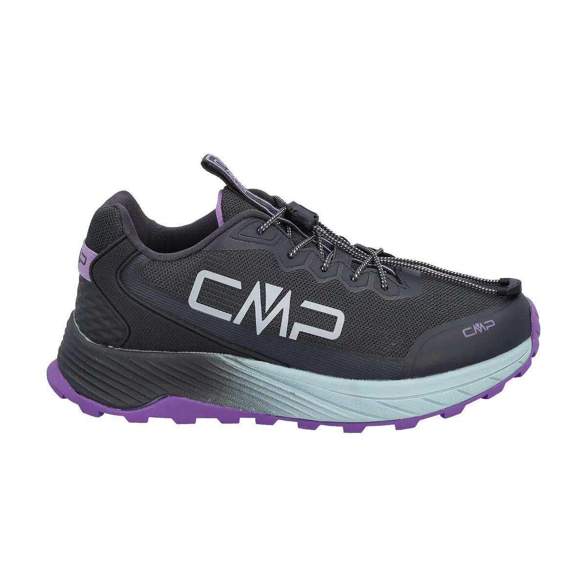 CMP picture