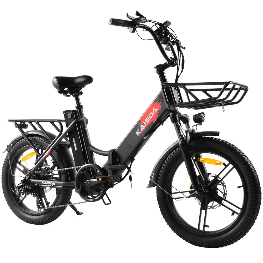 Electric Bike for adult KAISDA K201 36V Dual 10.4AH Batteries