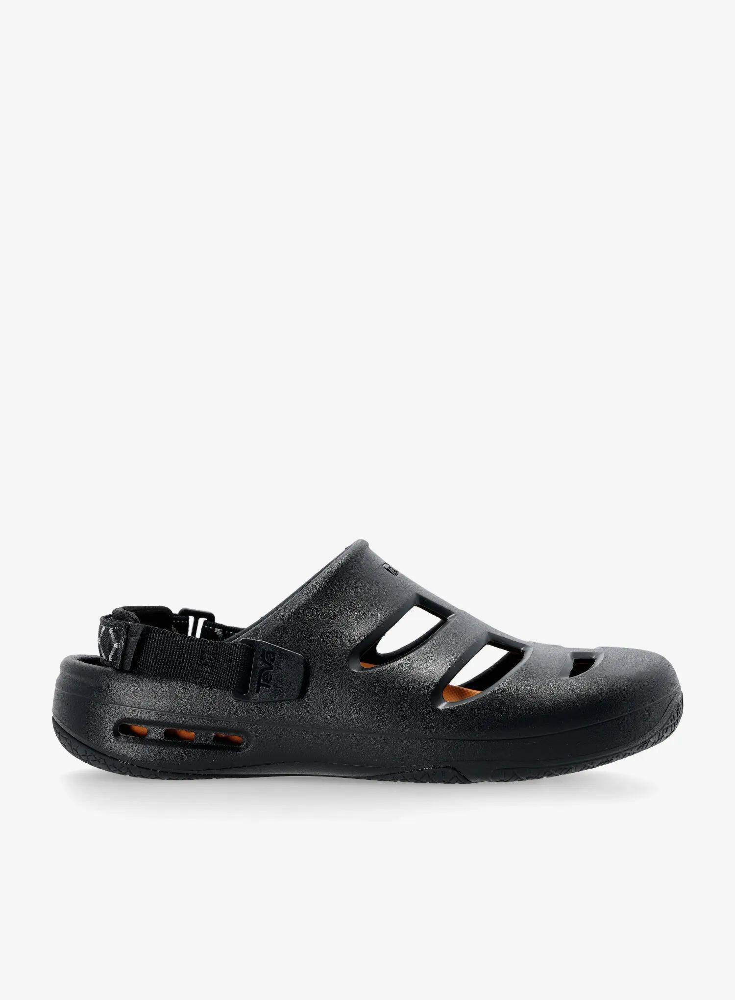 TEVA picture