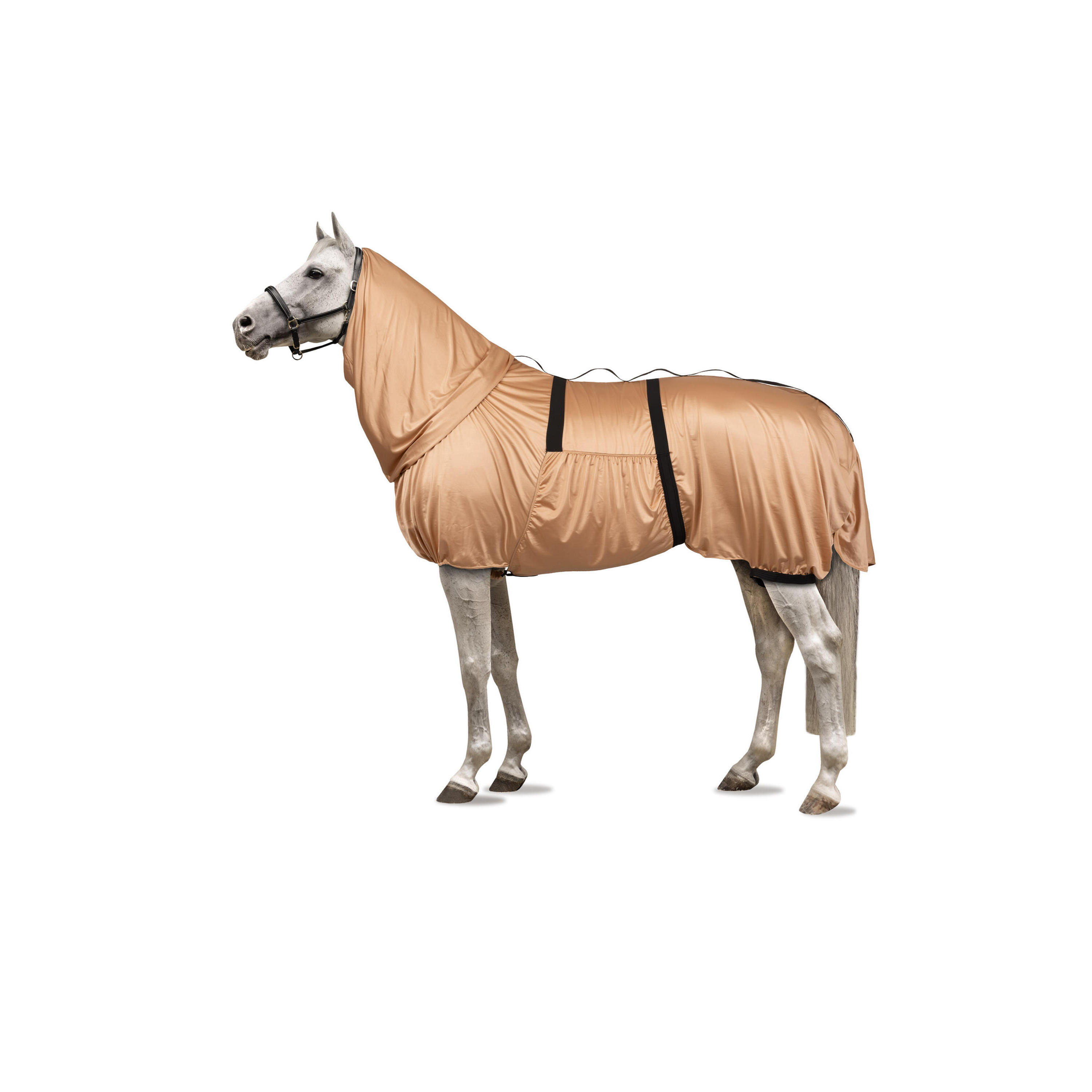Anti-eczeemdeken met buikflap en halsbedekking voor paarden Horze 1/4