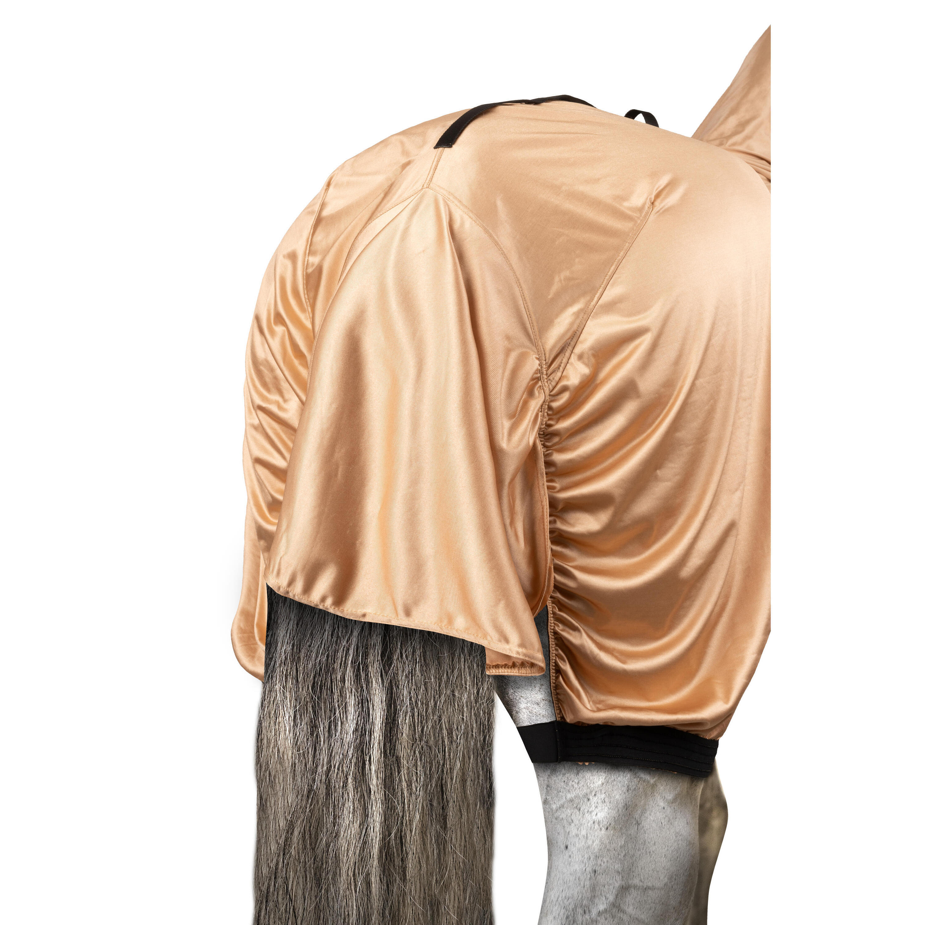 Anti-eczeemdeken met buikflap en halsbedekking voor paarden Horze 4/4