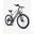 Bicicletă electrică HillMiles MileTrail 1 pentru adulți,26 inch,baterie 36V 13Ah