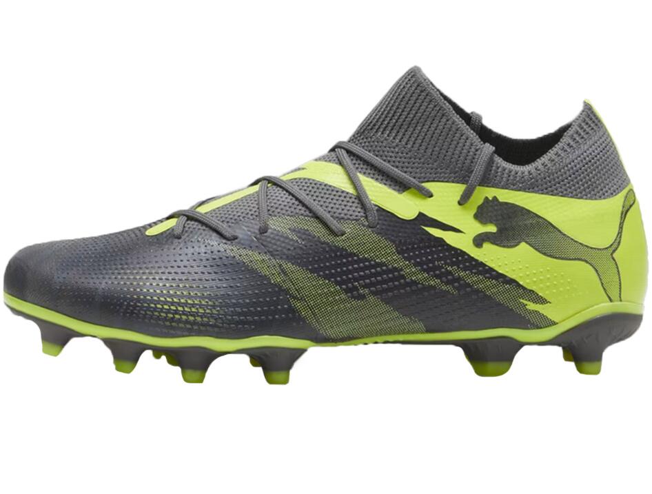 PUMA picture