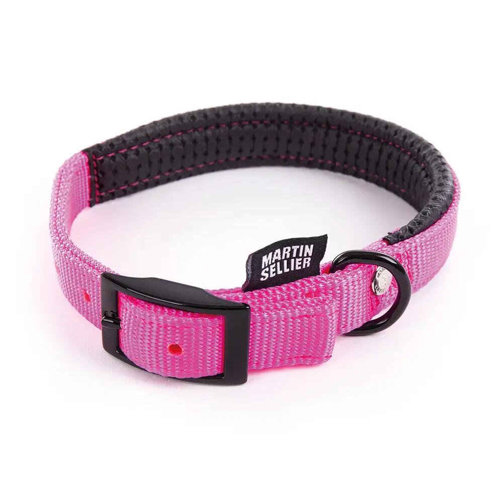 Collier pour chien Martin Sellier Clas 1/1