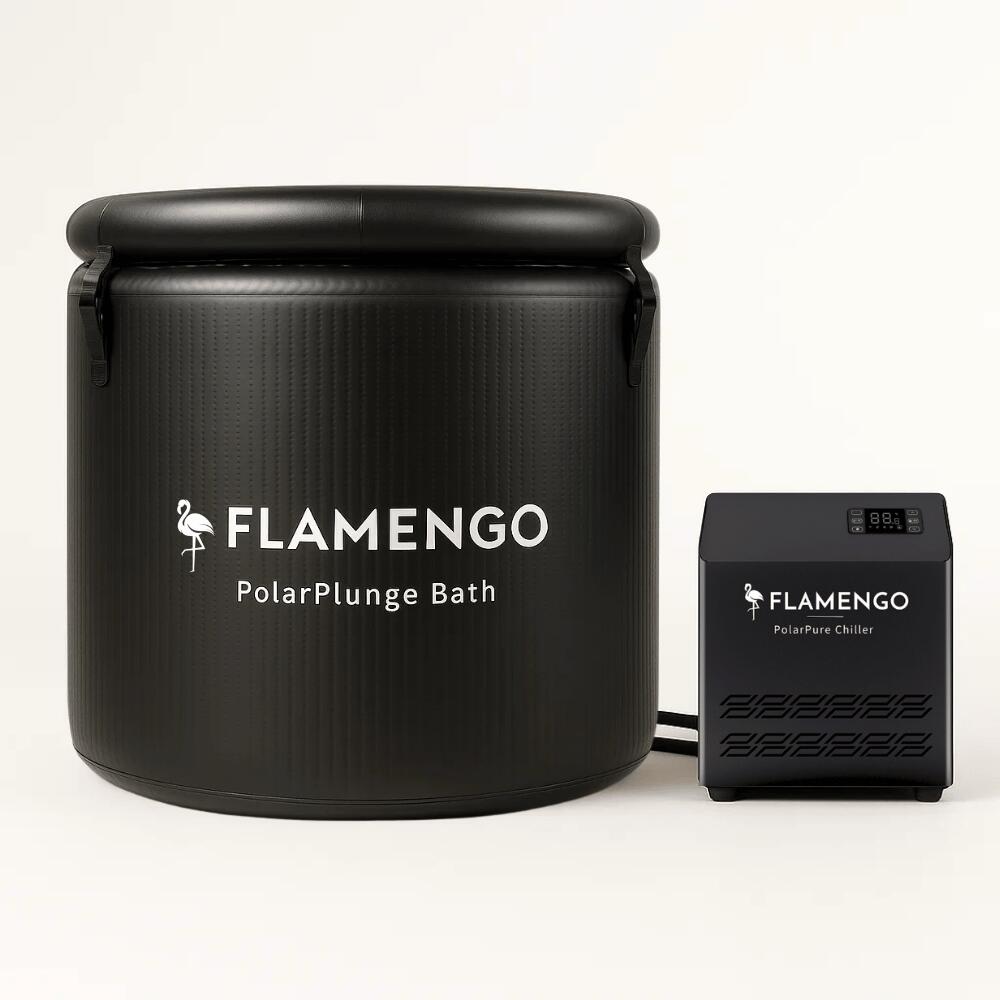 FLAMENGO picture