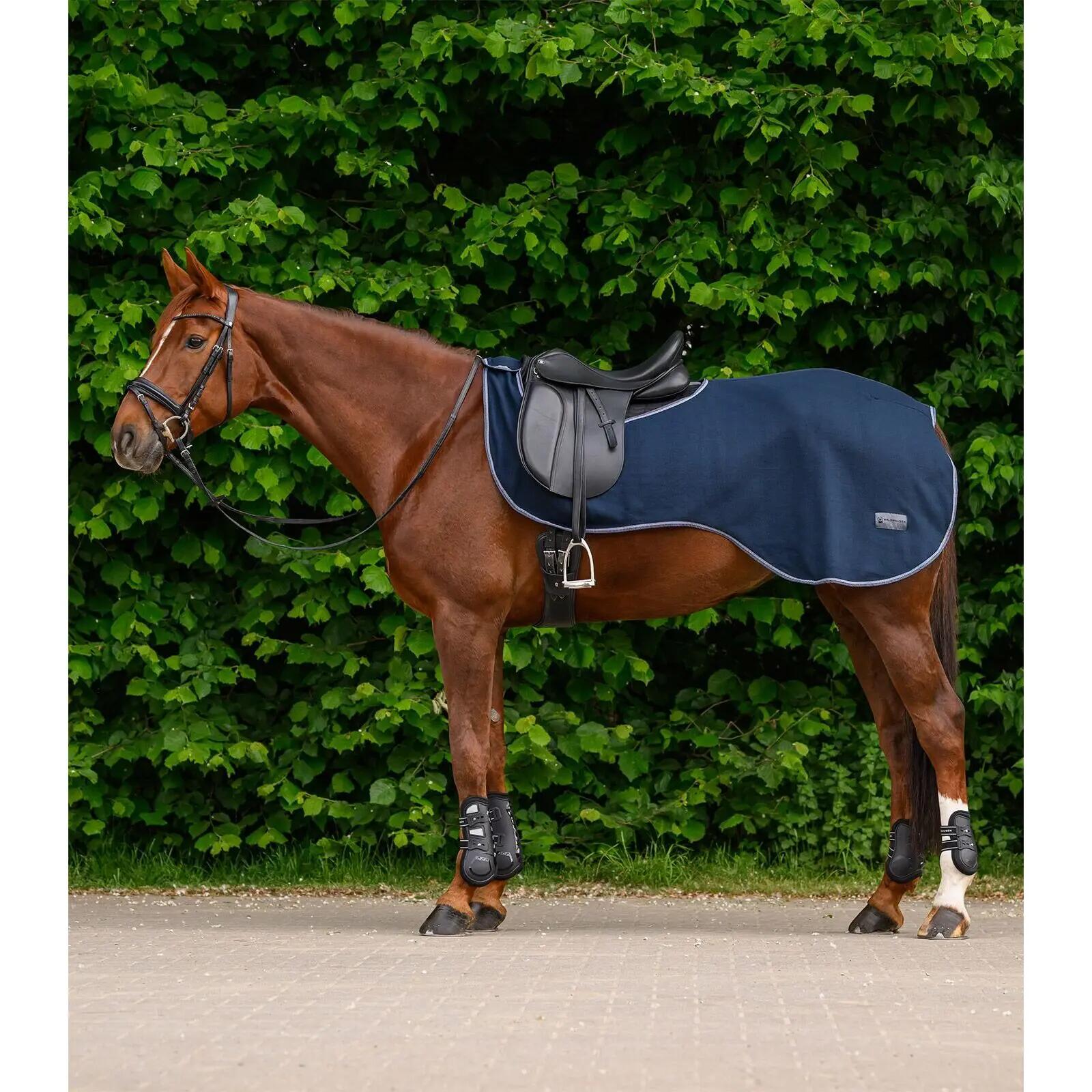Chemise polaire pour cheval Waldhausen Economic 1/5