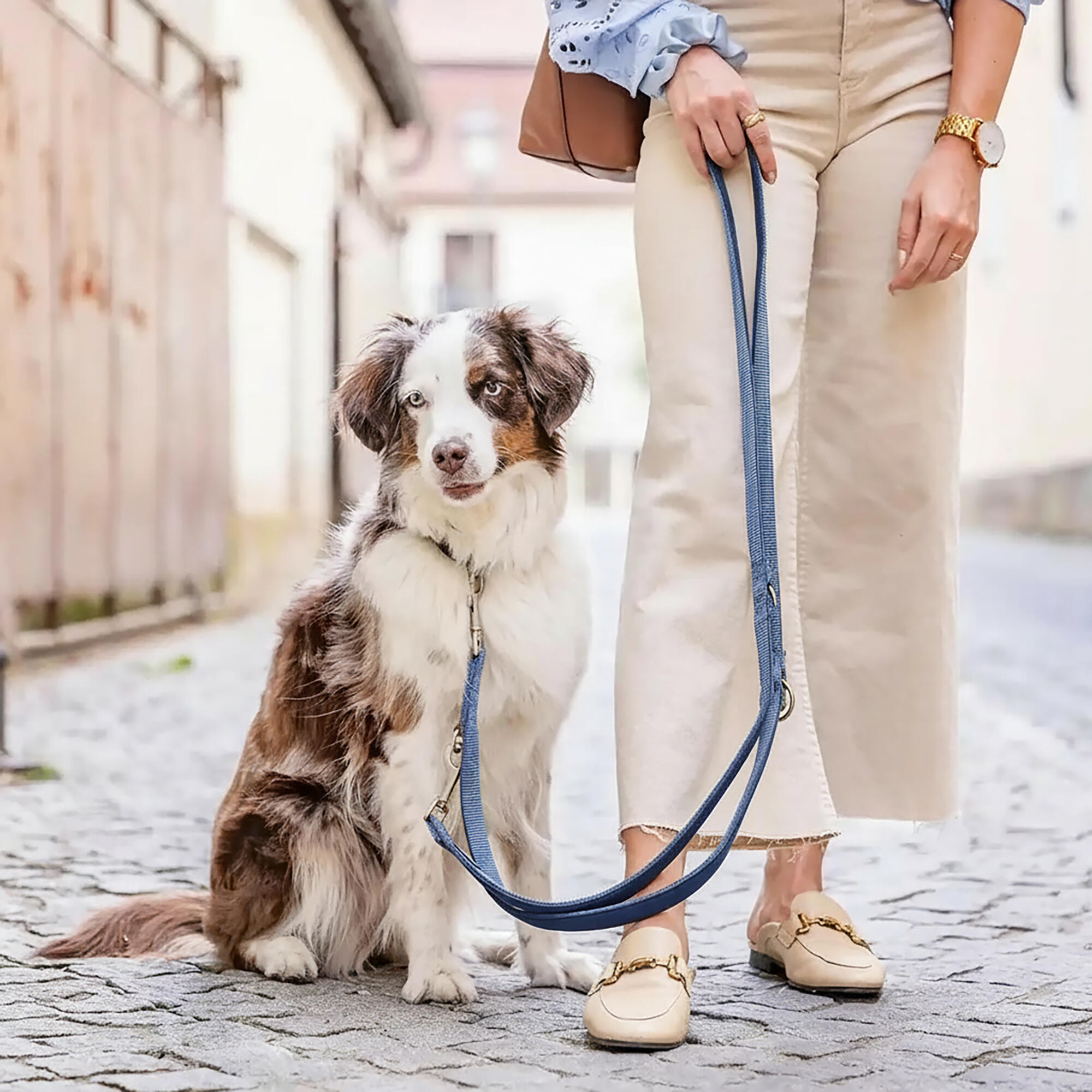 Guinzaglio Bella per Cani – Guinzaglio Regolabile e Morbido Premium 2/6