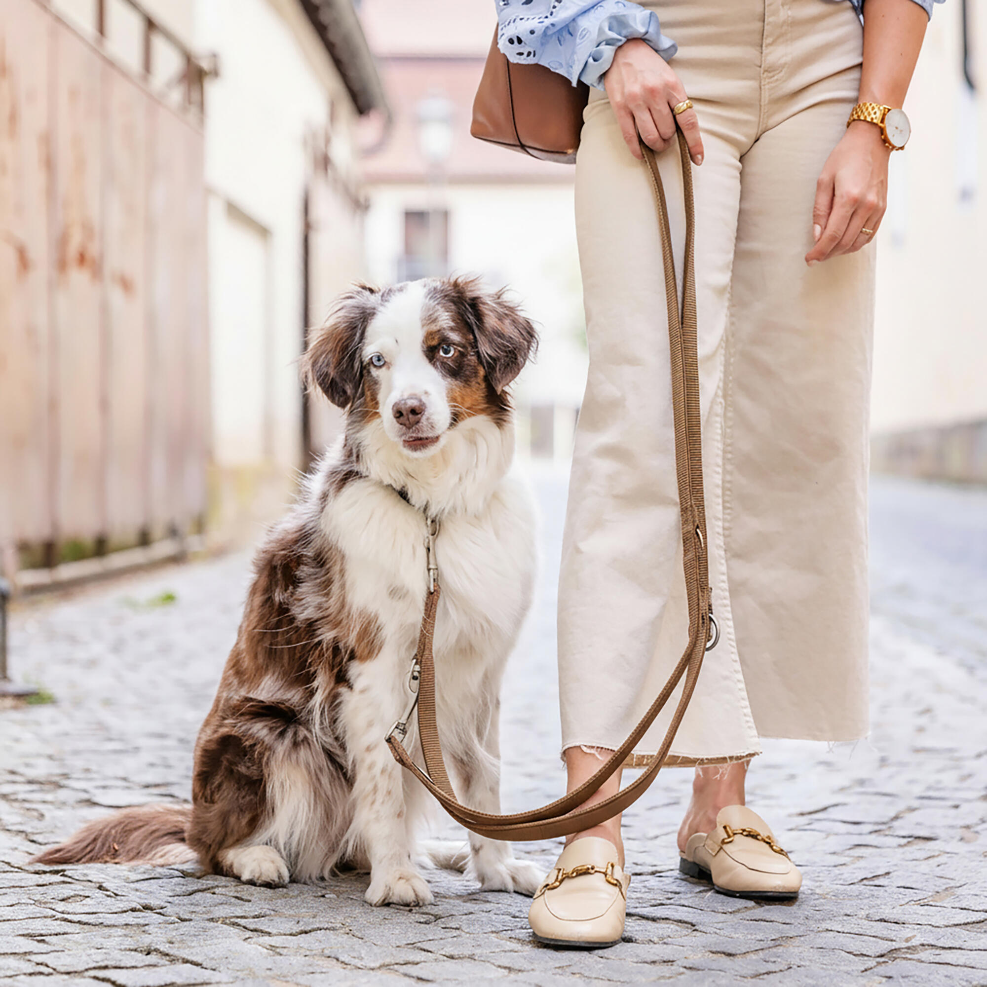 Guinzaglio Bella per Cani – Guinzaglio Regolabile e Morbido Premium 5/6