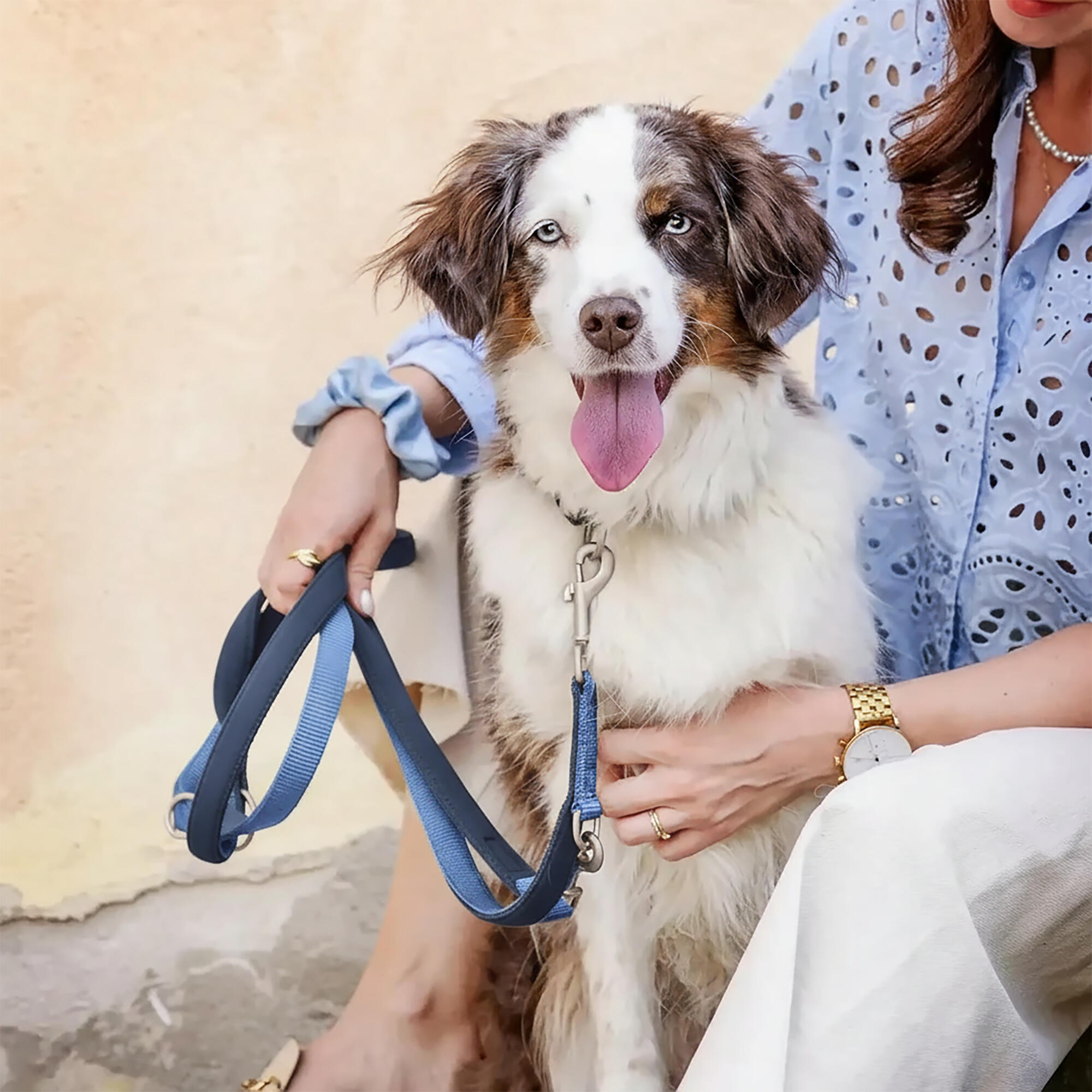 Guinzaglio Bella per Cani – Guinzaglio Regolabile e Morbido Premium 4/6