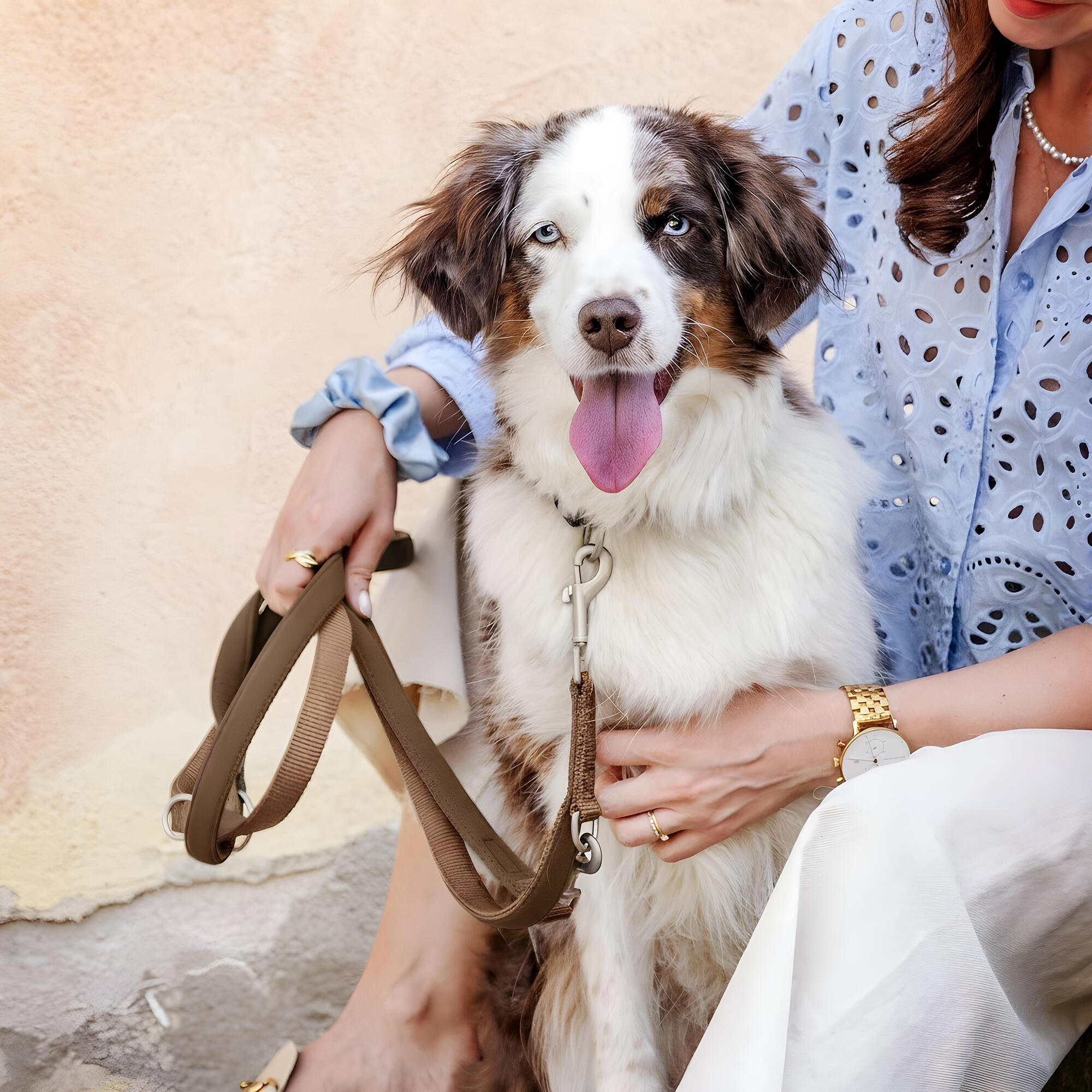 Guinzaglio Bella per Cani – Guinzaglio Regolabile e Morbido Premium 6/6