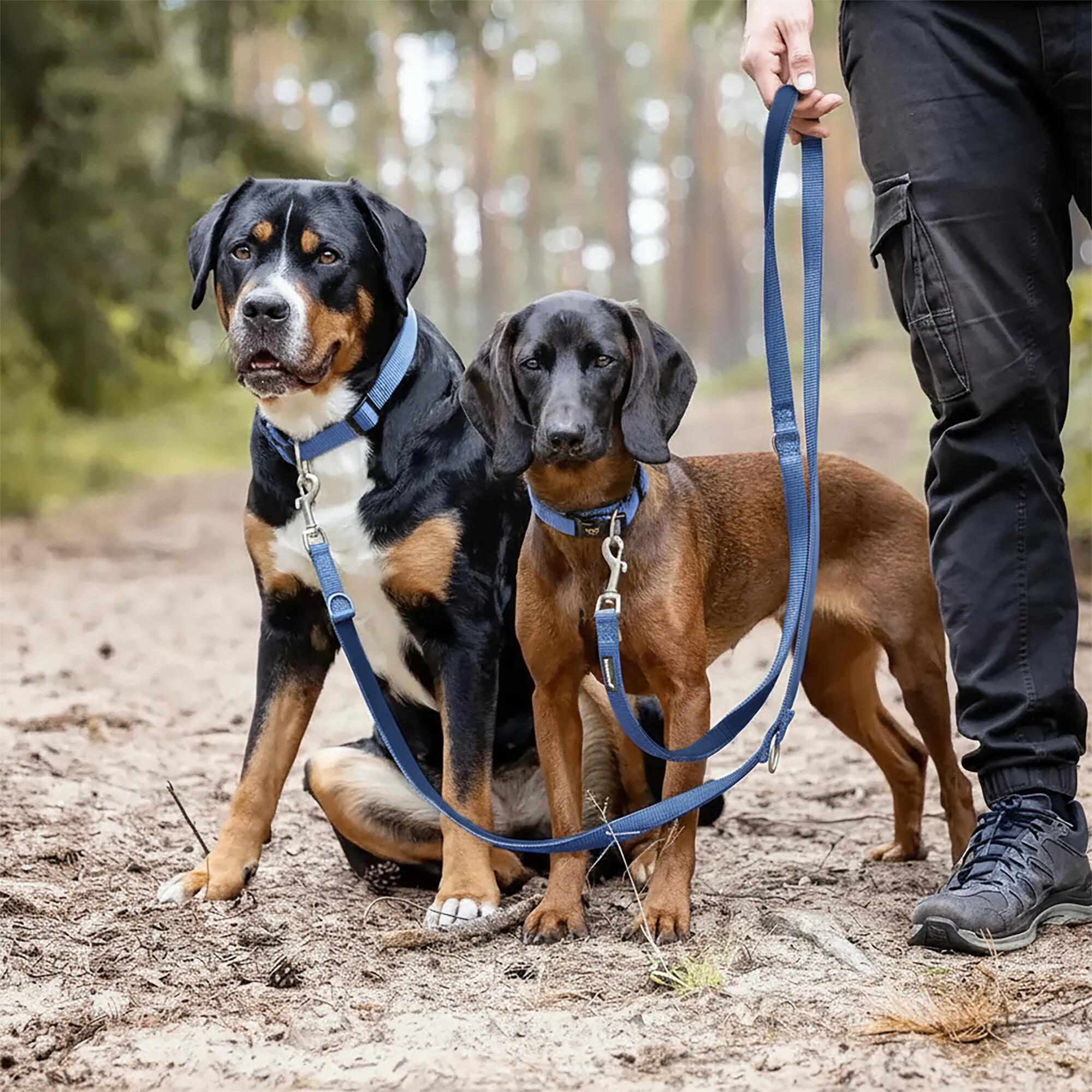 Guinzaglio Bella per Cani – Guinzaglio Regolabile e Morbido Premium 6/6