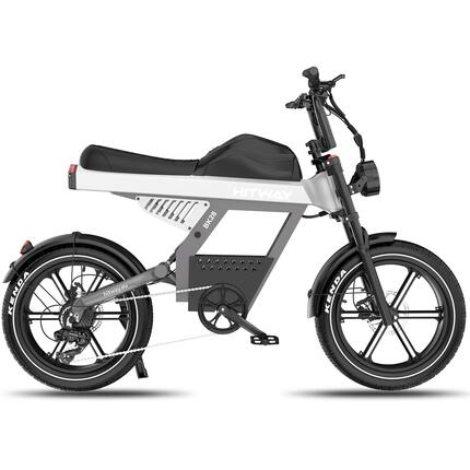 Elektrisches Fat Bike 20 Zoll, E-Bike All Terrain, 20x4.5 Reifen