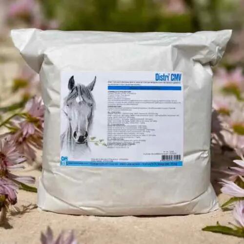 DISTRI'HORSE33 picture